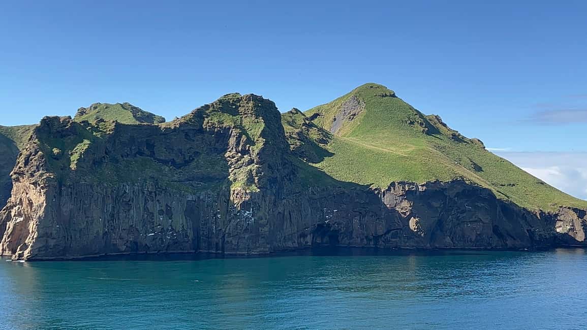 imagen n.º 6 de Islas Westman Excursión privada actividad en Suðurland, subida por el proveedor