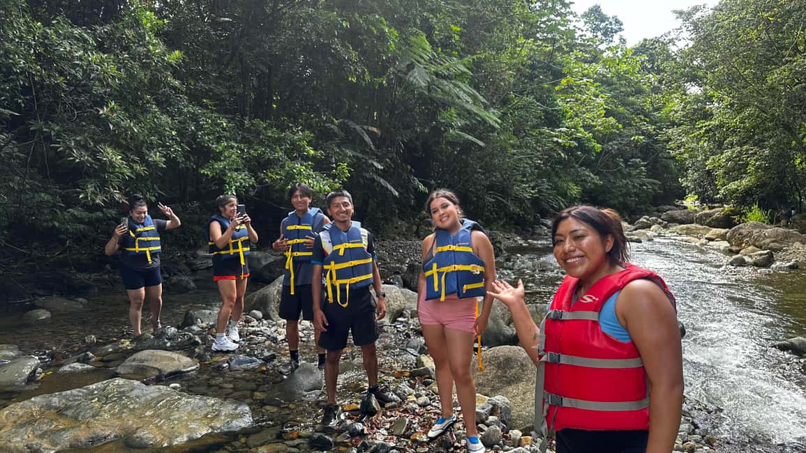 billede nr.17 af aktiviteten Fajardo: Guidet eventyr i El Yunque-skoven i Río Grande, Puerto Rico, uploadet af udbyder