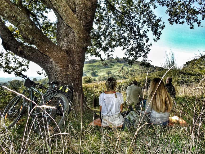 image n.2 of Rome: Frascati Vineyard Bike Tour with Wine Tasting activity in Monte Porzio Catone, uploaded by supplier