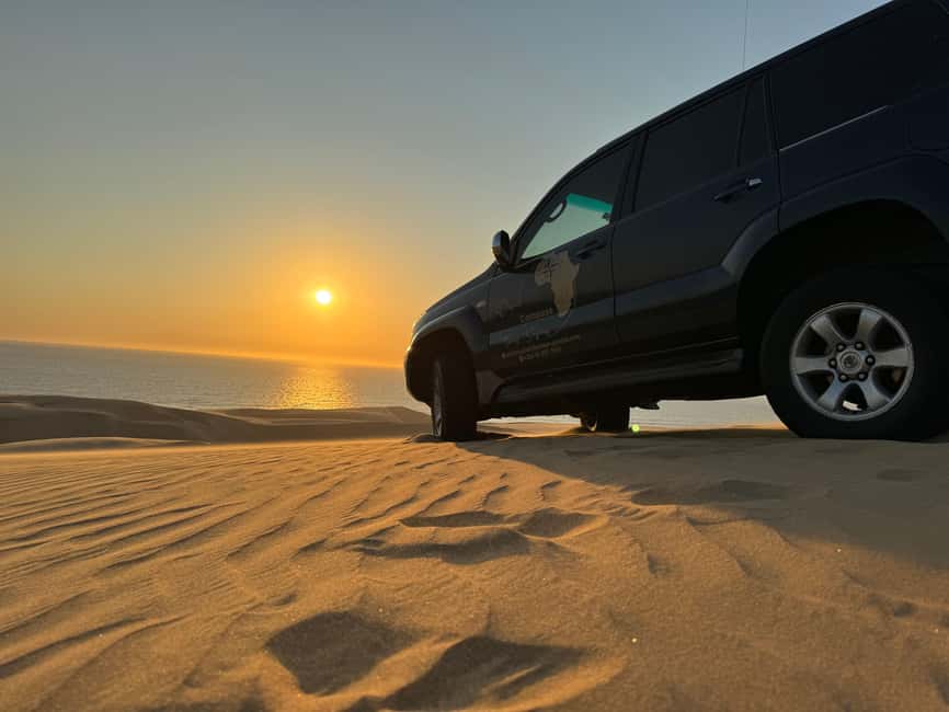 image n.25 of Walvisbay: Sandwich Harbour 4x4 Tour-Unparalleled Experience activity in Erongo, uploaded by supplier