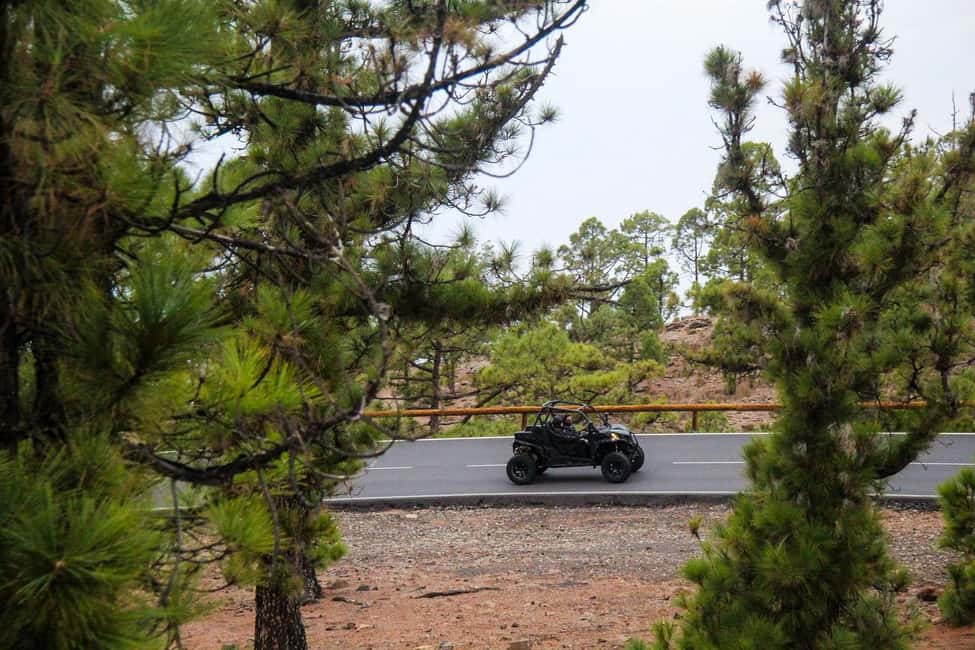 billede nr.12 af aktiviteten Tenerife: Teide Buggy Tour om morgenen eller ved solnedgang i Kanarieøerne, uploadet af udbyder