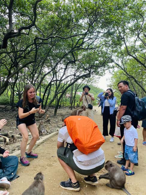Immagine nº 19 di Da Ho Chi Minh City: Mangrovie di Can Gio e trekking sull'Isola delle Scimmie attività a Città di Ho Chi Minh, caricata dal fornitore