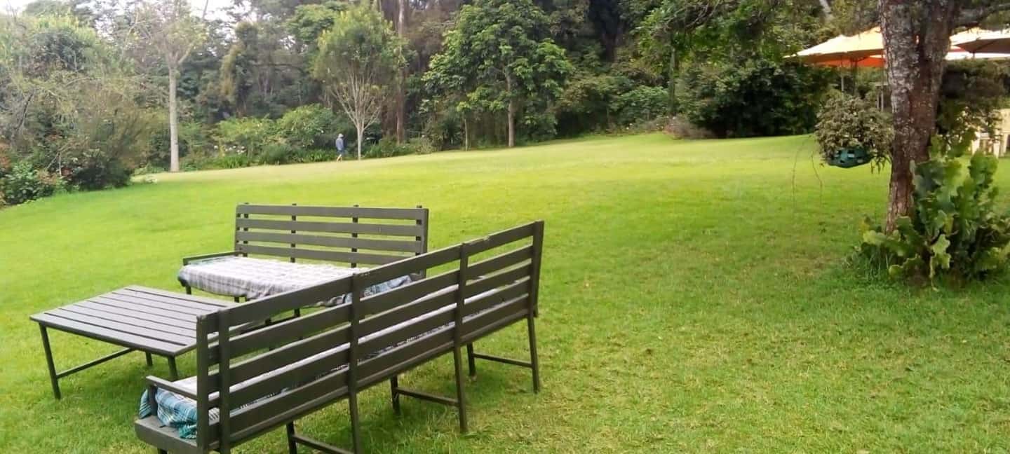 image n.34 of Tea Farm Tour From Nairobi (Kiambethu). activity in Limuru, uploaded by supplier