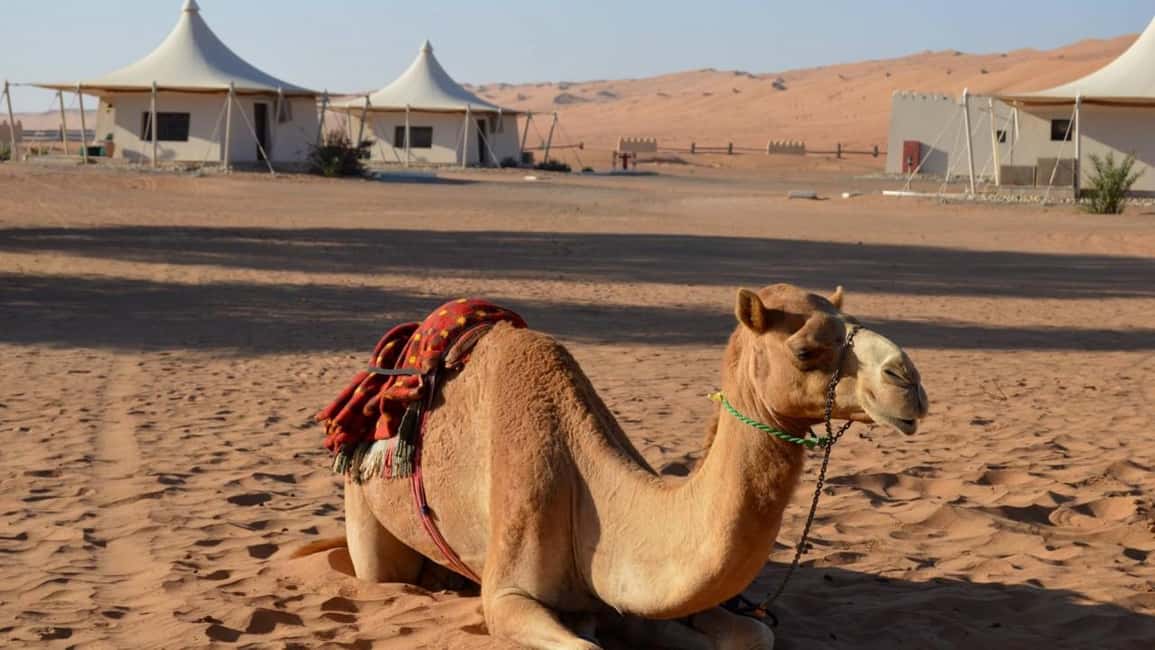 Obraz nr 6 z atrakcji Muscat: Prywatne pustynne safari z napędem na 4 koła w Al-Mintakat asz-Szarkijja, przesłany przez organizatora
