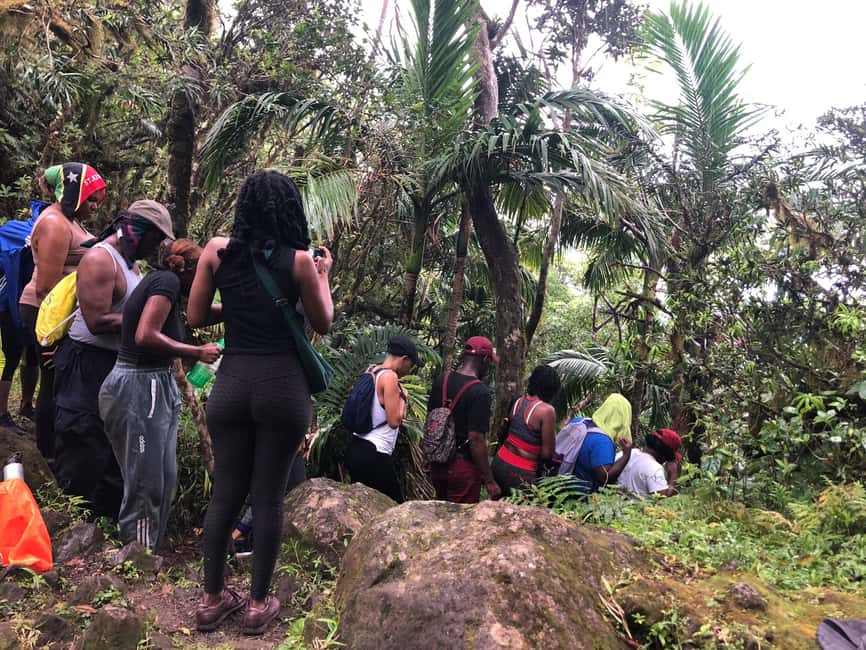 image n.2 of Hike St. Kitts: Highest peak Mount Liamuiga Volcano activity in Nevis, uploaded by supplier