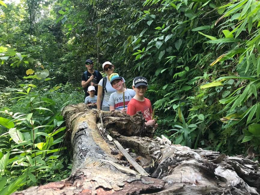 image n.7 of Chiang Rai Trek: 4 Hilltribes Villages & Waterfall Only Walk activity in Chiang Rai, uploaded by supplier
