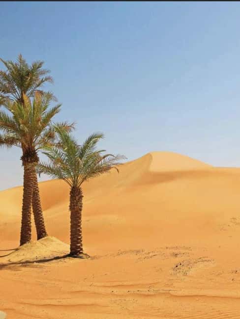 Immagine nº 27 di Avventura nel deserto di Wahiba , Nuoto nel Wadi Bani Khalid attività a Regione al-Sharqiyya, caricata dal fornitore