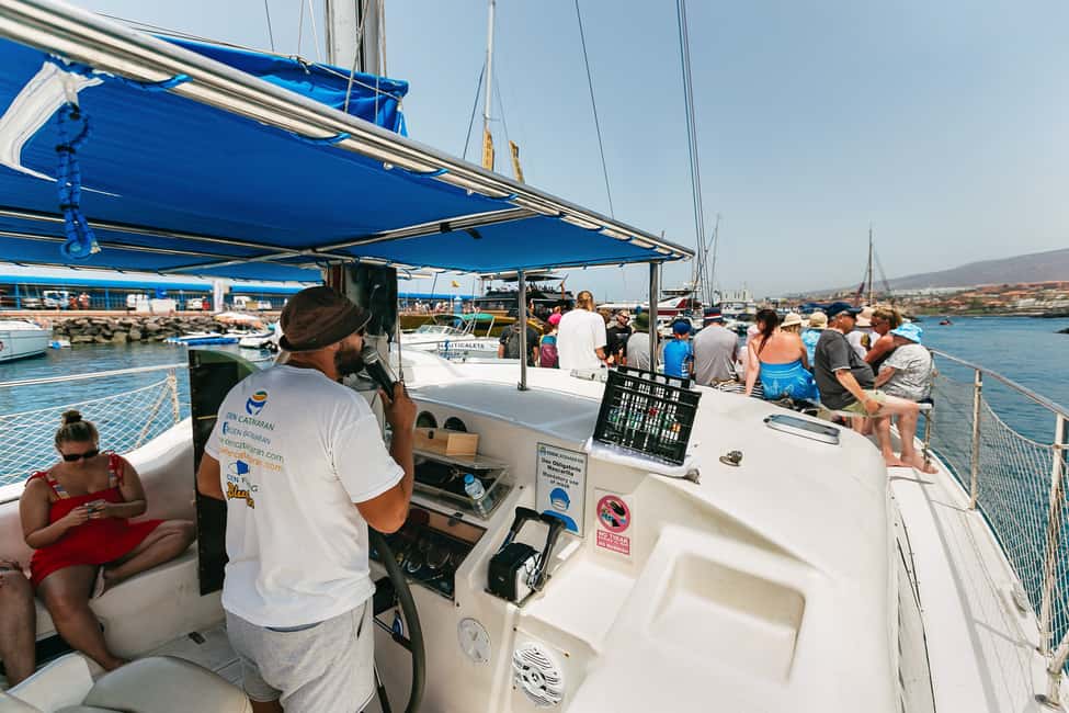 billede nr.14 af aktiviteten Costa Adeje: Hvalsafari med katamaran og drikkevarer i Costa Adeje, uploadet af udbyder