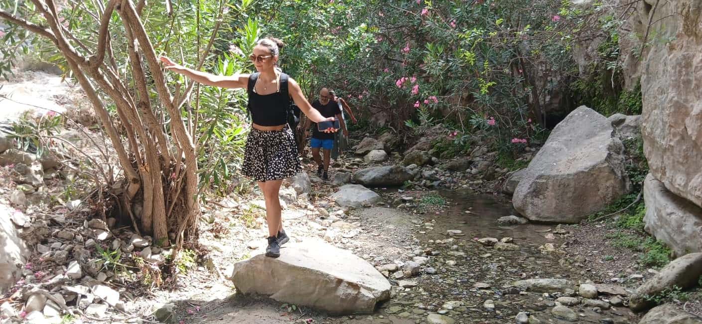 image n.6 of Paphos: Avakas Gorge & Turtle Bay Jeep Tour with Donkey Farm activity in Paphos District, uploaded by supplier