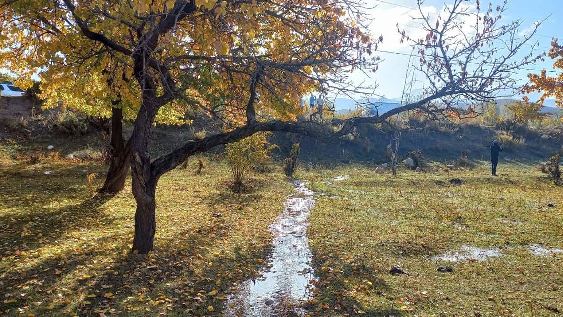 billede nr.23 af aktiviteten Issyk-Kul-søen, Barskoon-vandfald og kløfter (2 dage) i Issyk-Kul Region, uploadet af udbyder