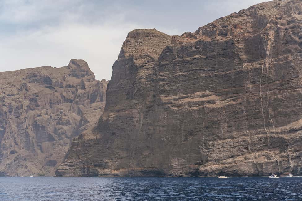 image n.16 of Costa Adeje: Whale & Dolphin Eco-Cruise with Snacks & Drinks activity in Costa Adeje, uploaded by supplier