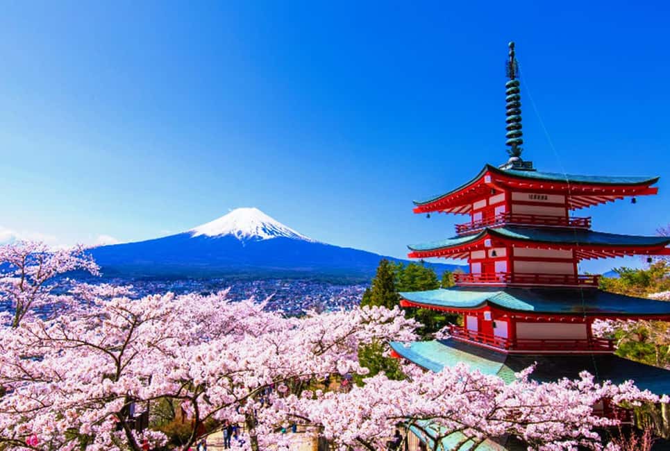 image n.1 of Tokyo: Mt. Fuji, LakeKawaguchiko, Pagoda, & Oishi Park Tour activity in Fujinomiya, uploaded by supplier