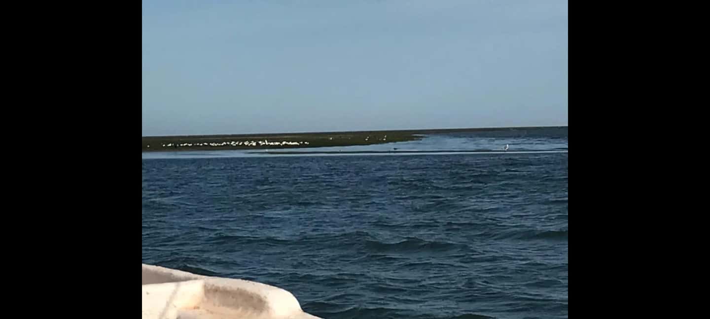 image n.8 of Mauritania: 10-Day From the Desert to the Atlantic Ocean activity in Nouakchott, uploaded by supplier