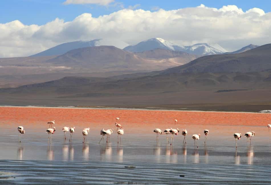 imagem n.13 de De Uyuni: Laguna Colorada e Salar de Uyuni 3 dias + refeições atividade em Uyuni, carregada pelo fornecedor