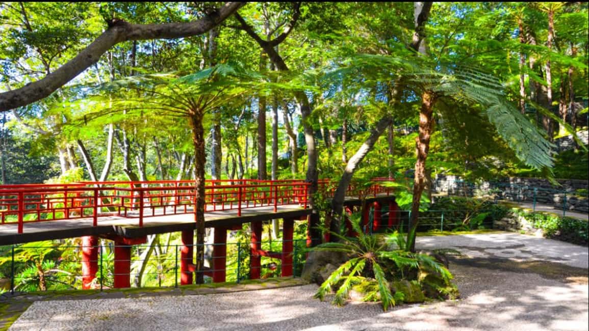 image n.13 of Madeira: Monte Tropical Gardens + Old Town Tuk Tuk by MadTuk activity in Funchal, uploaded by supplier