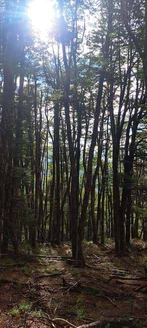 image n.4 of Lago Puelo: Andinean Day Hike activity in Chubut Province, uploaded by supplier