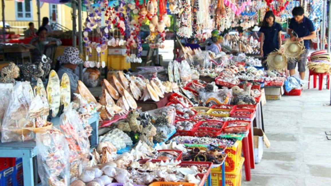 image n.4 of Da Nang/Hoi An:Explore Cham Island and Snorkeling tour 1 Day activity in Hoi An, uploaded by supplier