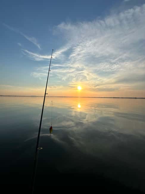image n.1 of Boat Tour to Letea Forest activity in Tulcea County, uploaded by supplier