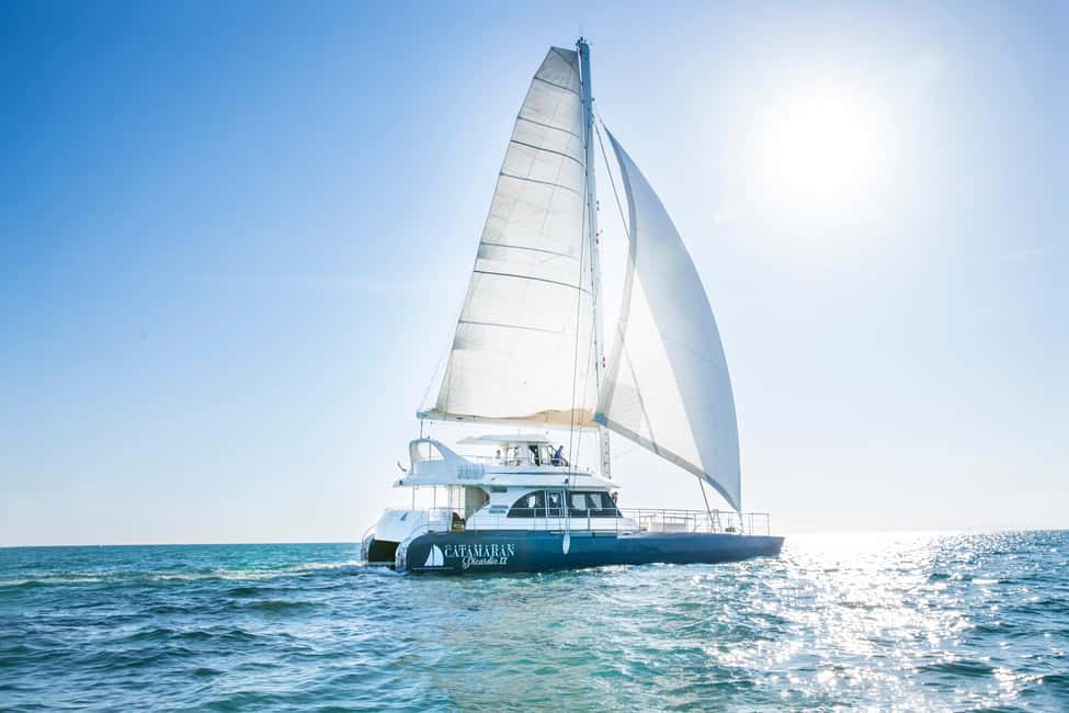 image n.1 of Le Grau-du-Roi : Sailing catamaran tour along the coasts activity in Le Grau-du-Roi, uploaded by supplier