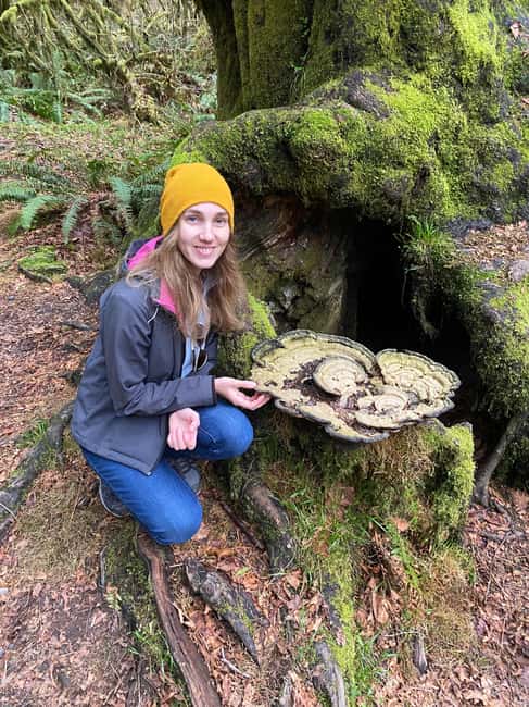 imagem n.3 de Destaques da floresta tropical e do Parque Nacional Olímpico atividade em Port Angeles, carregada pelo fornecedor