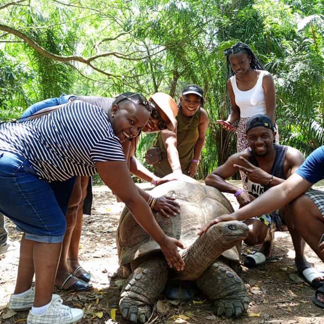 image n.1 of MOMBASA:FORTJESUS,OLDTOWN,GIRAFFE,OSTRICH,ORYX WILD,DAYTOUR activity in Mombasa, uploaded by supplier