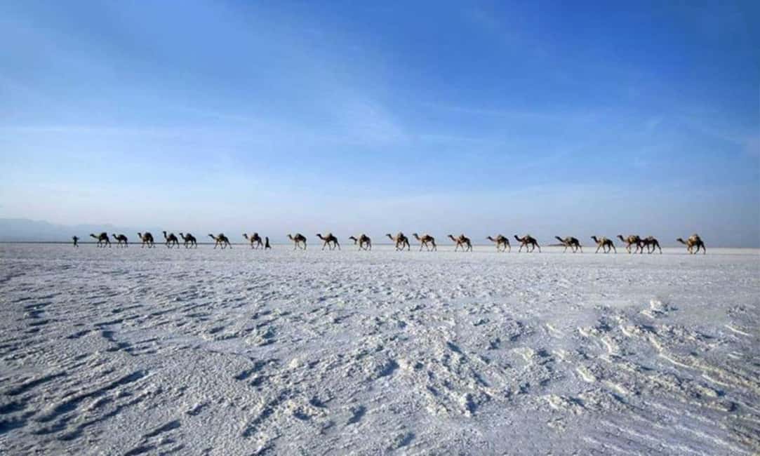 image n.4 of 2-Night 3-Day Danakil Depression Tour without Flights activity in Afar (Region), uploaded by supplier