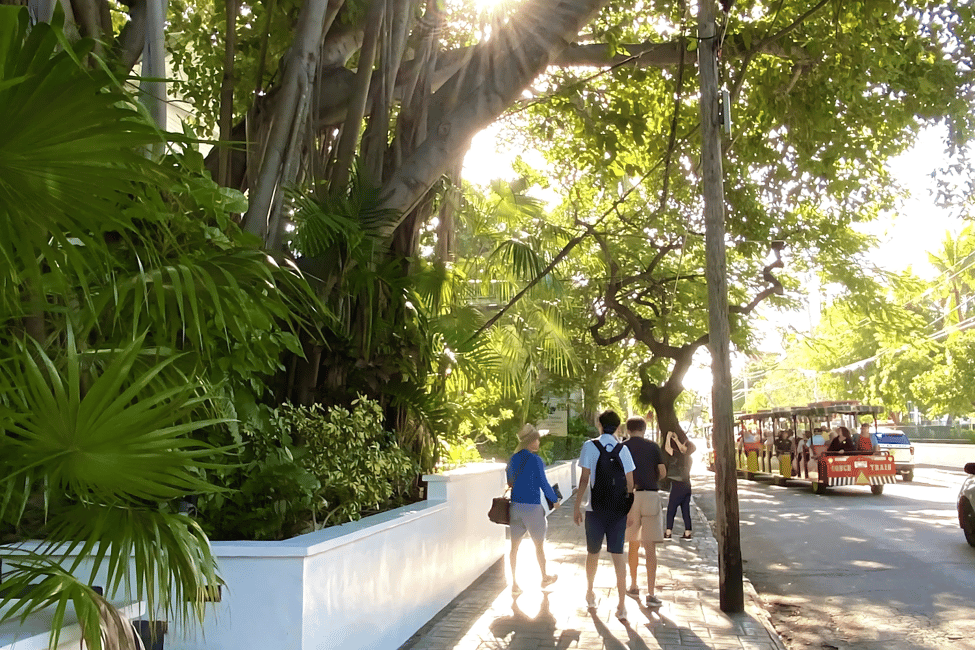 image n.5 of From Miami: Day Trip to Key West with optional Hotel pick up activity in Florida, uploaded by supplier