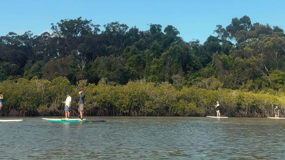 image n.13 of Noosa Stand Up Paddle & Mangrove Tunnel Tour (Self Guided) activity in Noosaville, uploaded by supplier