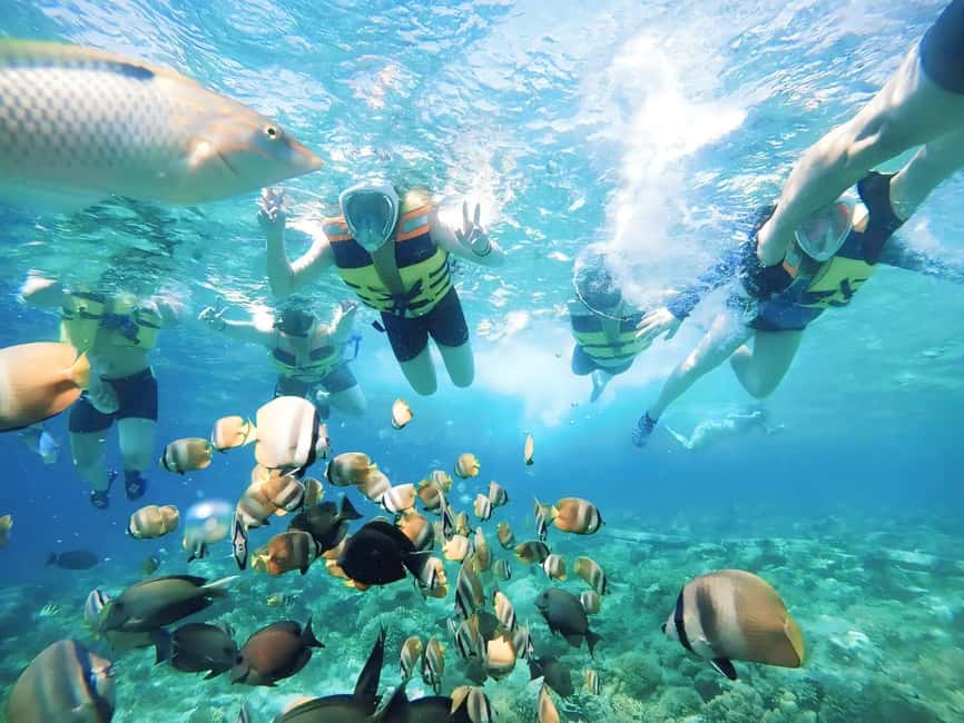 Obraz nr 2 z atrakcji Ekskluzywna jednodniowa wycieczka na różową plażę Lombok i 3 Gilis w Indonezja, przesłany przez organizatora
