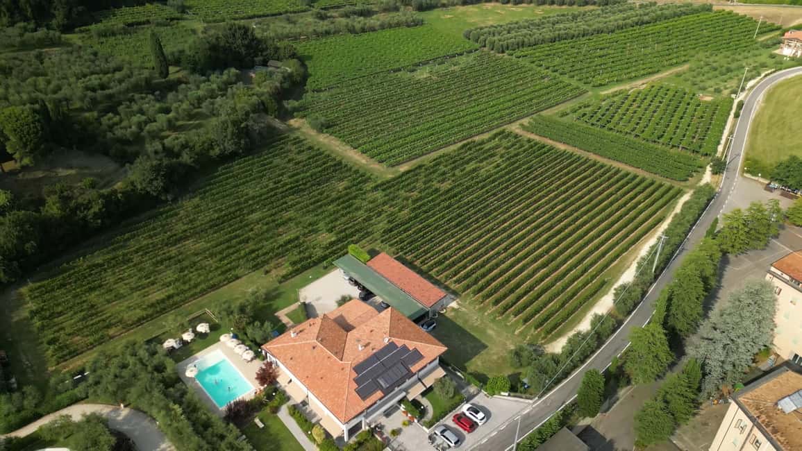 image n.9 of Bardolino: Vineyard Tour with Wine, Olive Oil & Food Tasting activity in Lombardy, uploaded by supplier