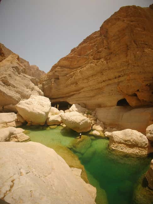 Immagine nº 48 di Muscat: escursione di un'intera giornata a Wadi Shab, grotta romantica e sinkhole attività a Regione al-Sharqiyya, caricata dal fornitore