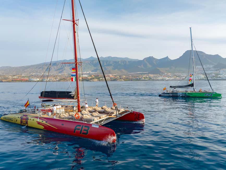 image n.3 of Costa Adeje: Masca and Los Gigantes Whale Watching Cruise activity in Costa Adeje, uploaded by supplier