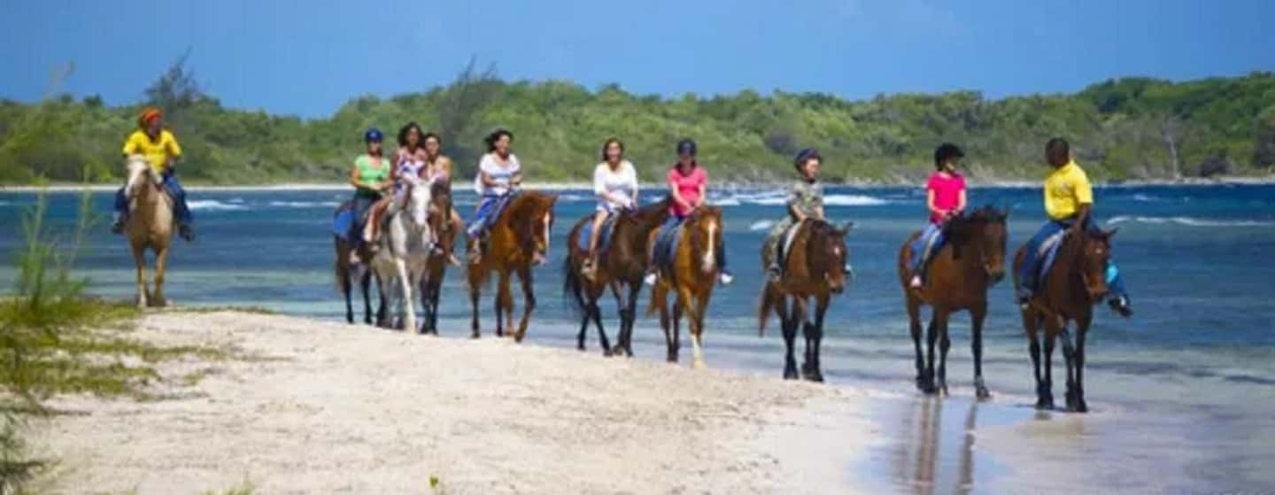imagem n.6 de Transporte para o passeio a cavalo e natação em Chukka atividade em Montego Bay, carregada pelo fornecedor
