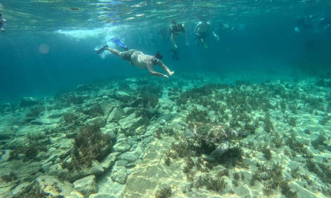 image n.18 of Paphos: Turtle-Watching Snorkeling Sea Scooter Trip activity in Paphos, uploaded by supplier