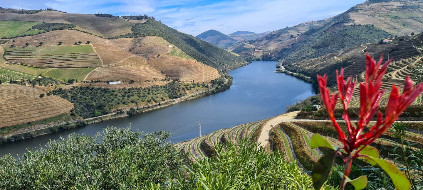 image n.1 of From Peso da Régua: Visit 3 wineries, tasting and viewpoint activity in Norte Region, uploaded by supplier