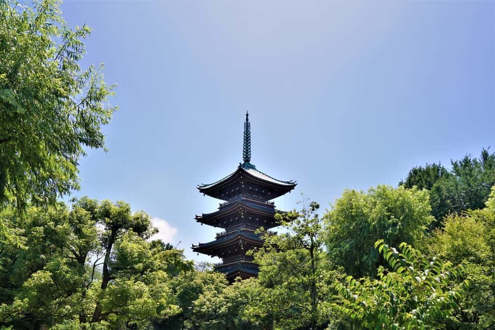 Immagine nº 19 di Da Tokyo: Tour di lusso di Nikko con guida in lingua inglese attività a Nikkō, caricata dal fornitore