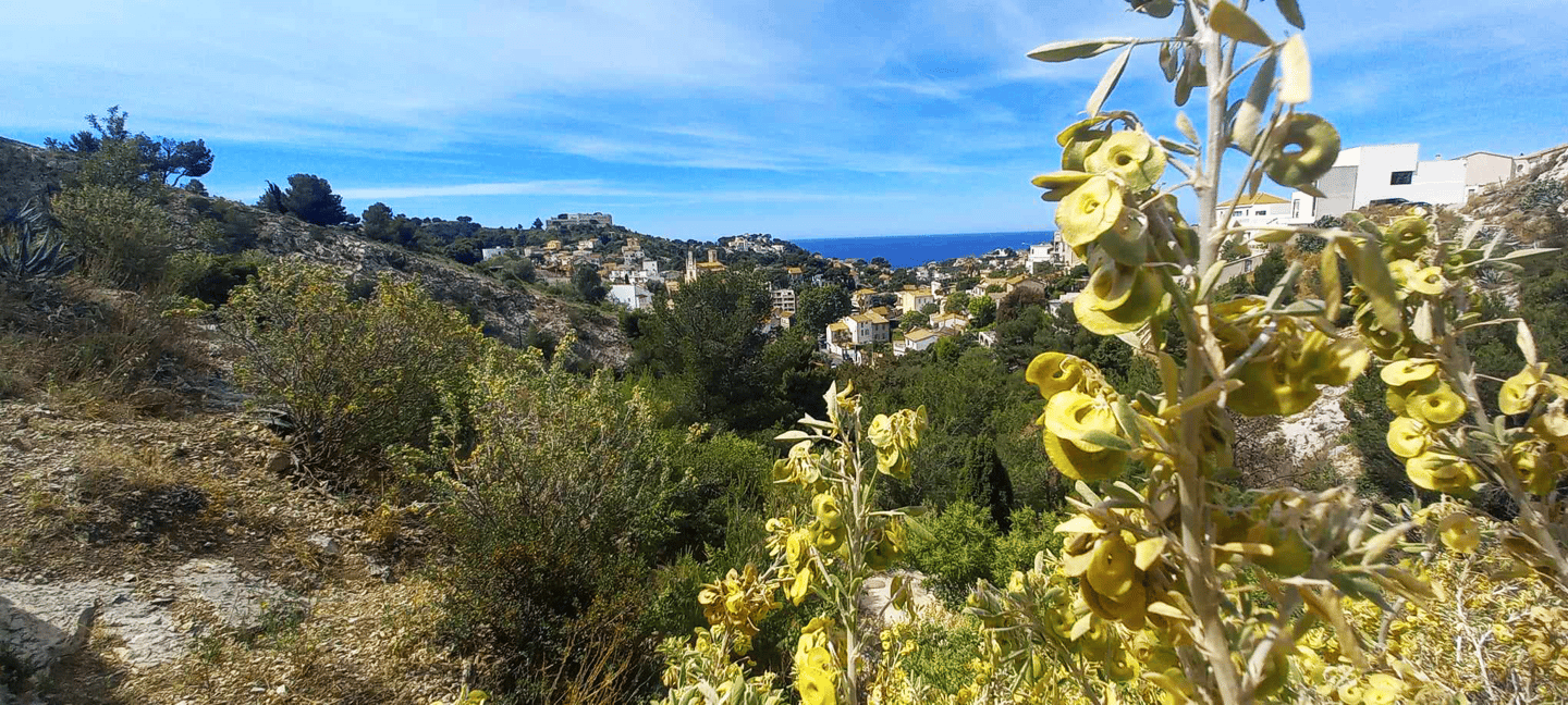 image n.16 of Marseille: Half-Day City Highlights Guided Walking Tour activity in Marseille, uploaded by supplier