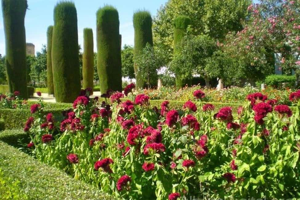 image n.9 of From Seville: Cordoba Full-Day Tour with Tickets Included activity in Córdoba, uploaded by supplier