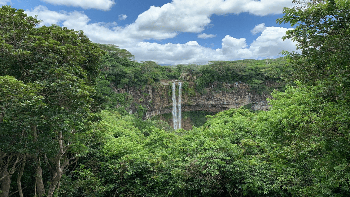 Immagine nº 12 di Mauritius: Chamarel 7 Colori e Cascate, Tour del Sud-Ovest attività a Chamarel, caricata dal fornitore