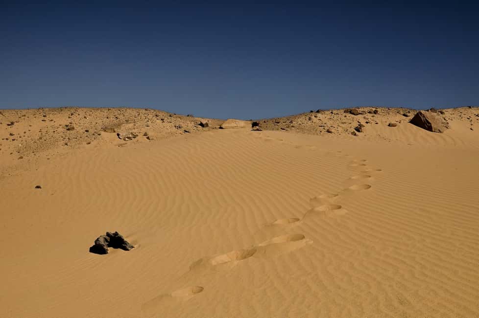 image n.15 of 6 Days to El Fayoum Oasis, White Desert and Bahariya Oasis activity in Fayoum, uploaded by supplier