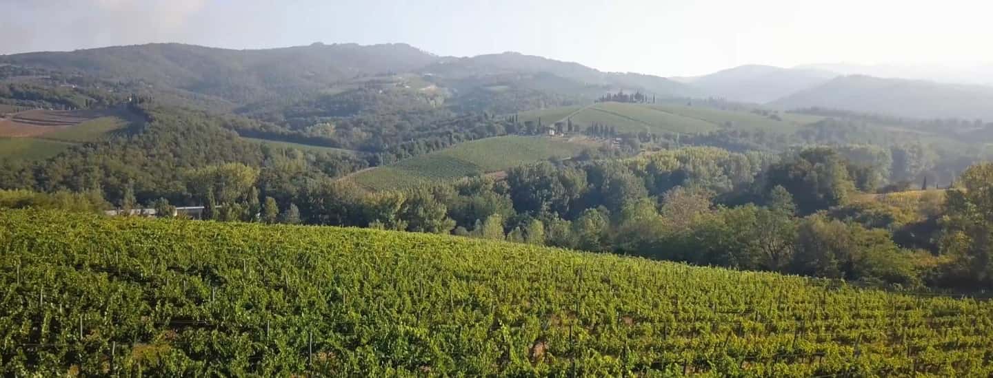 Immagine nº 3 di Da Firenze: Siena privata, San Gimignano + degustazione vini attività a Siena, caricata dal fornitore