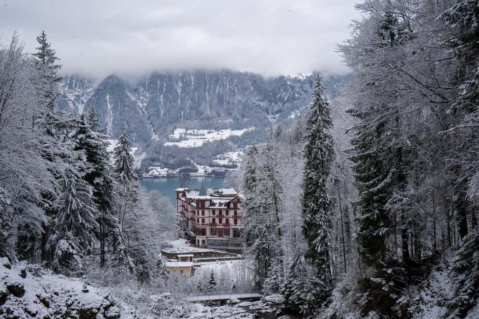 image n.13 of Zurich: Alps, Grindelwald, Lauterbrunnen & Interlaken Tour activity in Ticino, uploaded by supplier