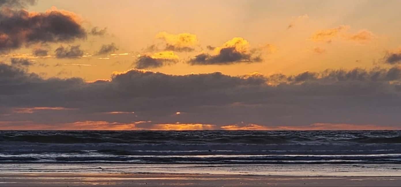 billede nr.9 af aktiviteten Det vestlige Auckland: Solnedgang med termisk pool og vinsmagning i Muriwai, uploadet af udbyder