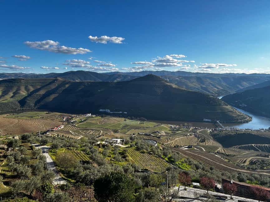 Image N°38 de Depuis Porto : Vallée du Douro avec vignobles, déjeuner et excursion en bateau activité à Région Nord, Portugal, publiée par le prestataire