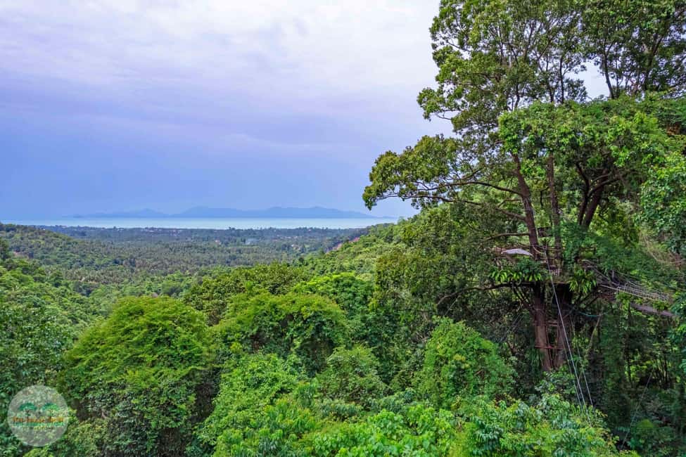 billede nr.2 af aktiviteten Fra Koh Samui: Tree Bridge Zipline og caféoplevelse i Thailandbugten, uploadet af udbyder