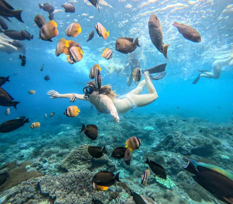 image n.22 of Nusa Penida Island: Manta Point Snorkeling & West Coast Tour activity in Batoemadeg, uploaded by supplier