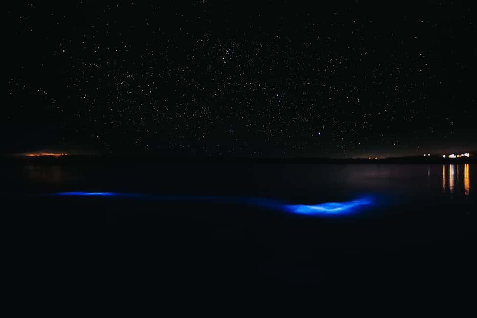 bild nr.9 av Från San Juan: La Parguera Glowing Bio Bay Boat Tour aktivitet i Västra regionen, Puerto Rico, uppladdad av arrangören