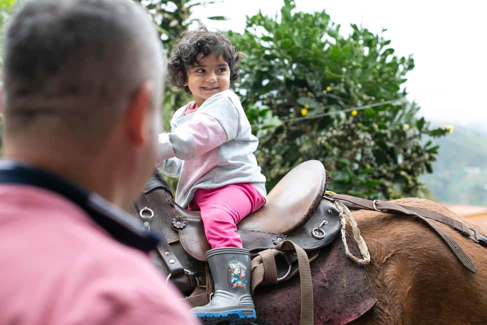 imagem n.74 de Medellín: Tour do café, chegada a cavalo e cana-de-açúcar atividade em Medellín, carregada pelo fornecedor