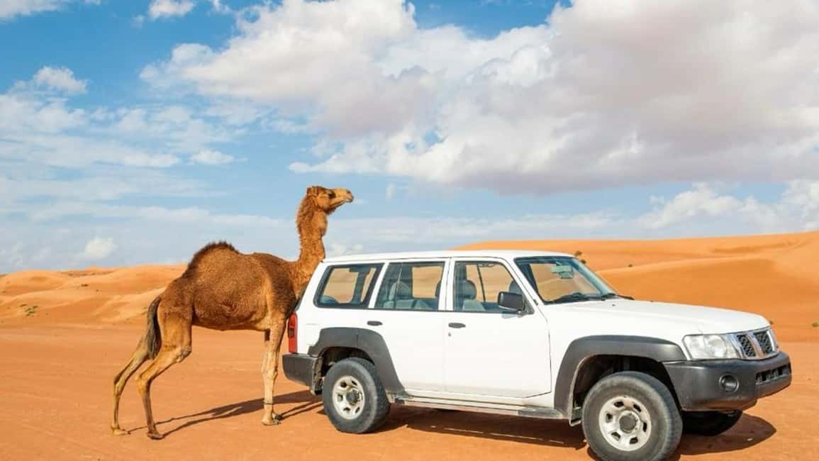 Immagine nº 3 di Tour guidato di gruppo Wahiba Sand e Wadi Bani Khalid attività a Regione al-Sharqiyya, caricata dal fornitore