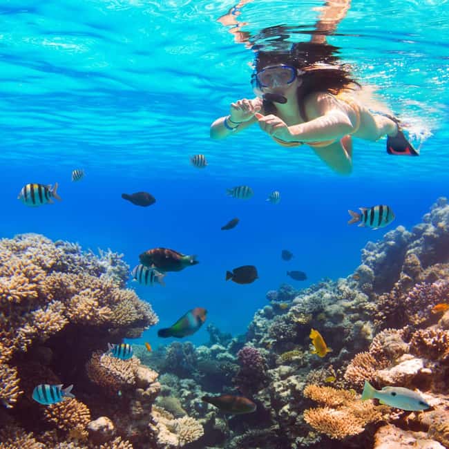 image n.33 of Hurghada: Luxury Cruise Trip to Orange Bay with Lunch activity in Red Sea Governorate, uploaded by supplier